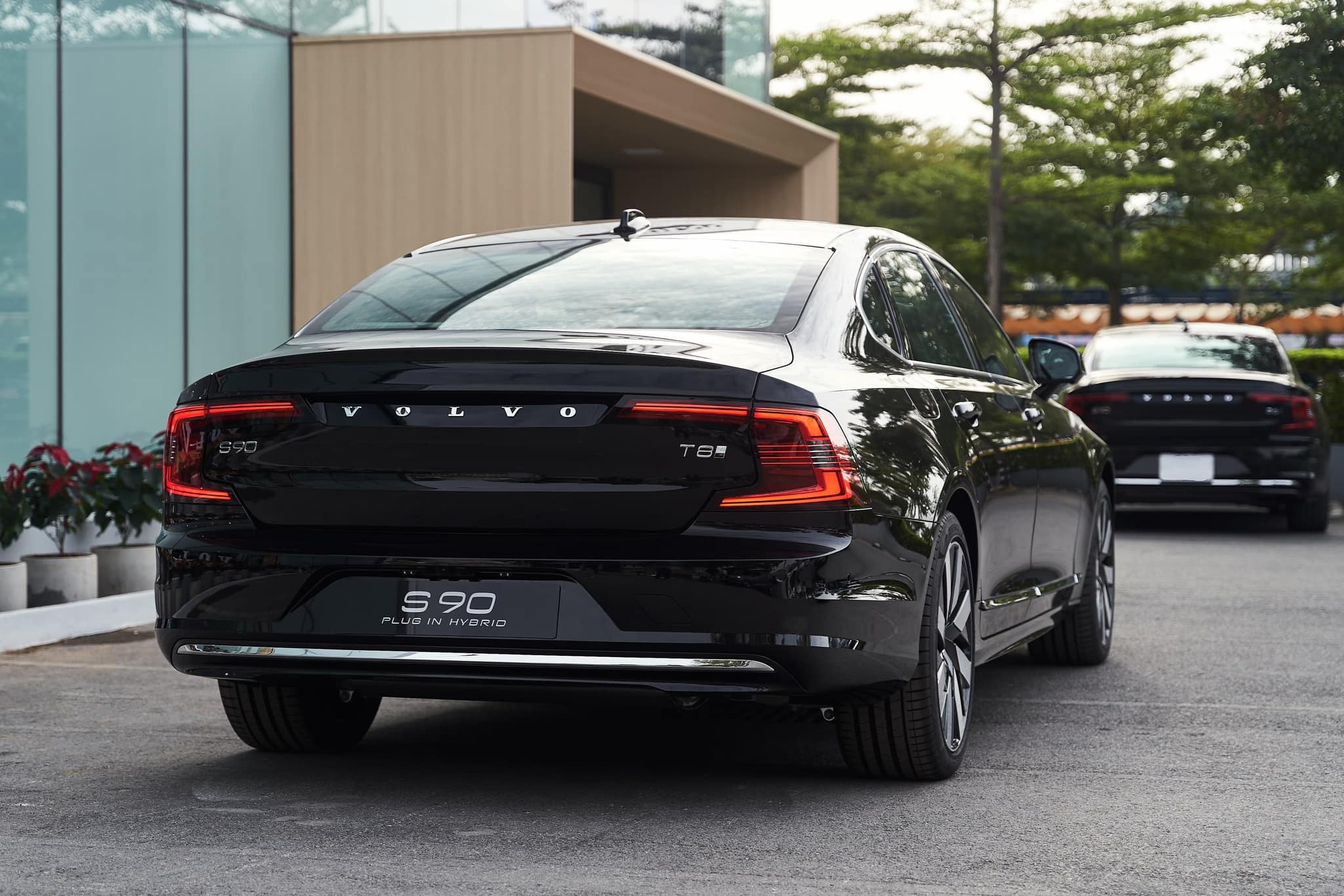 484036561_1523697295252630_2379014524251189665_n